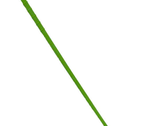 Cây gãi ngứa lưng 