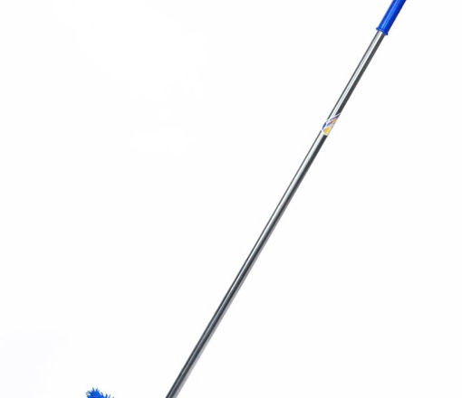 Cây lau công nghiệp 